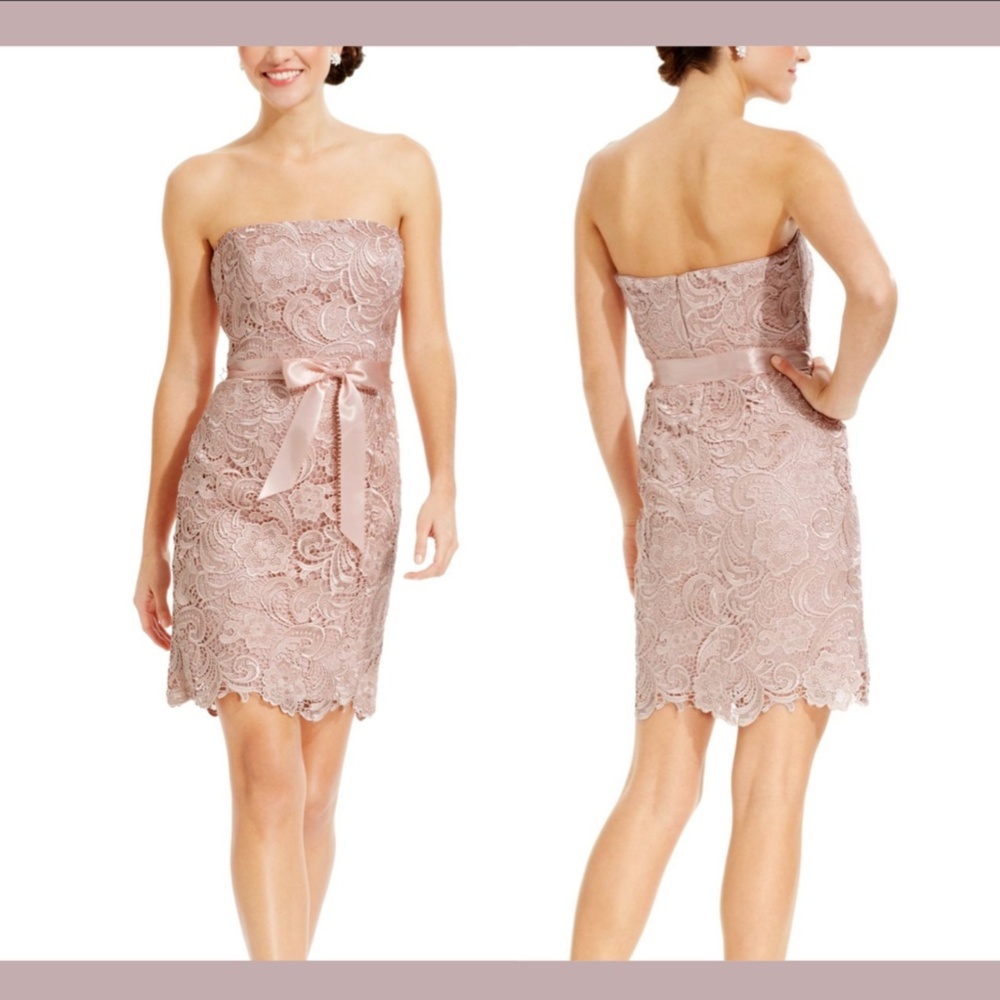 NWT Adrianna Papell Sweetheart‎ Strapless Lace Sheath Dress in Blush [size 4 ]